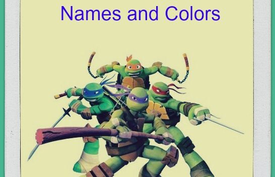 Teenage Mutant Ninja Turtles Names and Colors