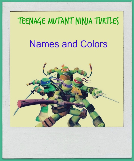 Teenage Mutant Ninja Turtle's Names - Blue/Purple/Red/Orange