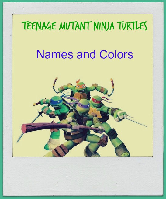 Teenage Mutant Ninja Turtle s Names Blue Purple Red Orange Player 