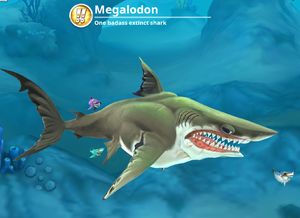 Megalodon Max