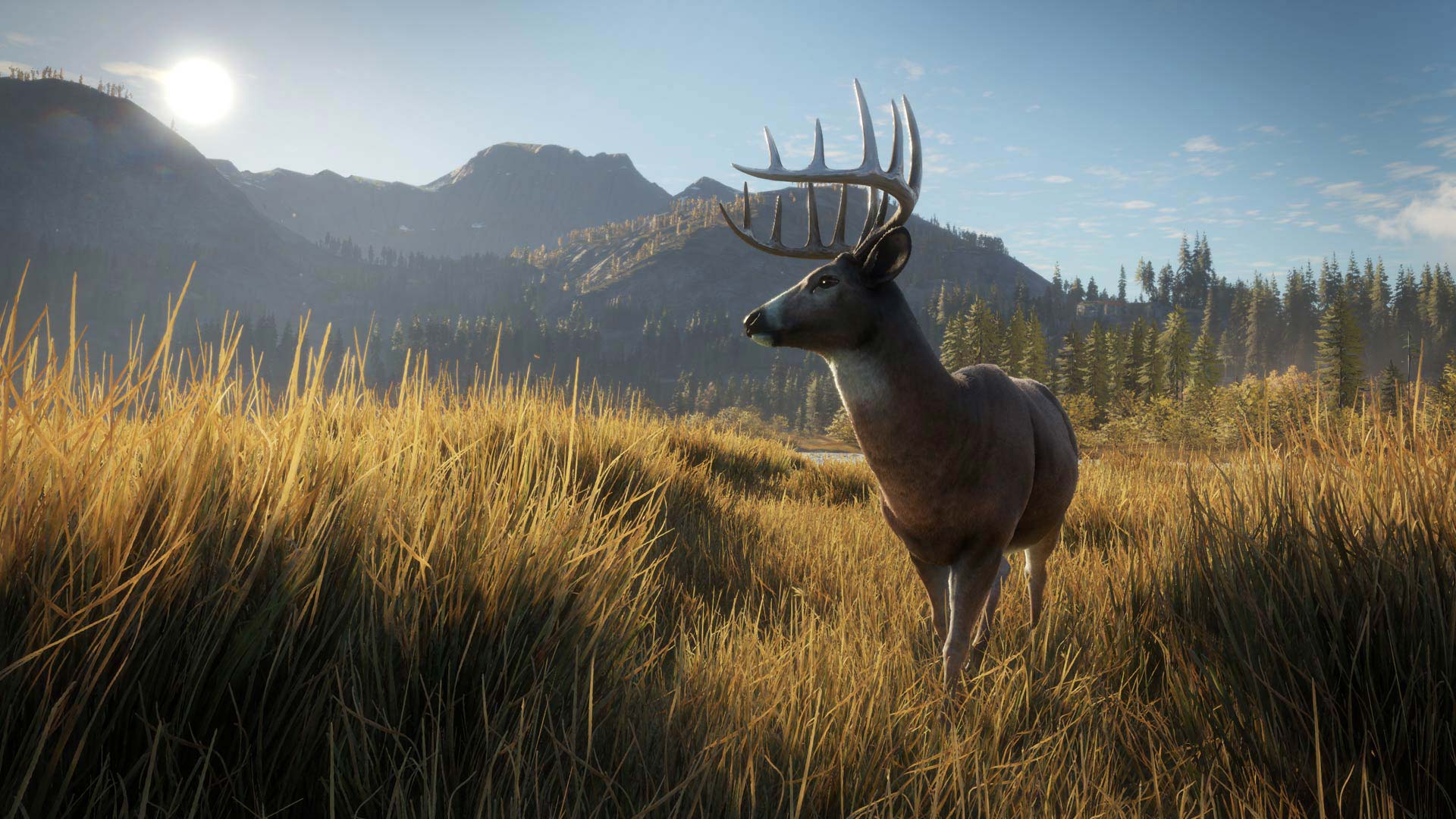 the hunter call of the wild review ps4