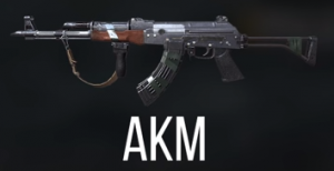 AKM 300x154 1