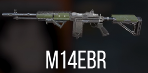 M14 300x149 1