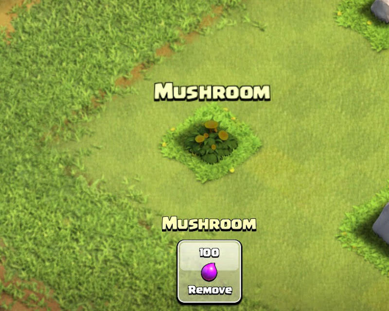 Coc-mushroom2