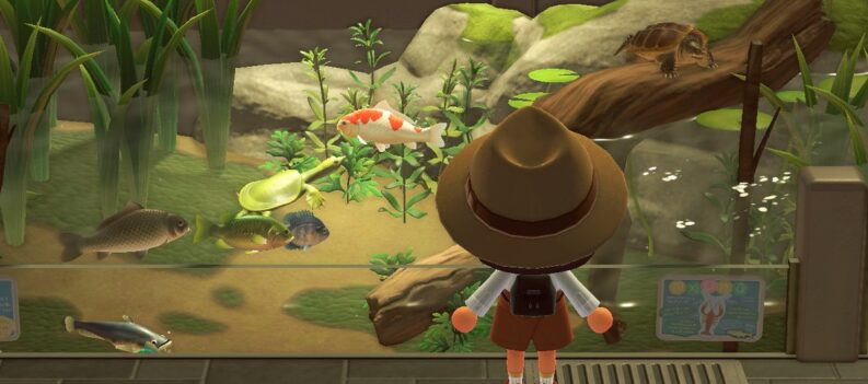 How To Catch A Soft-Shelled Turtle In Animal Crossing: New Horizons