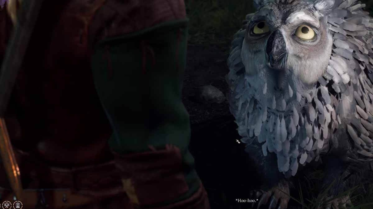 Baldur’s Gate 3: Owlbear – How to Get Owlbear