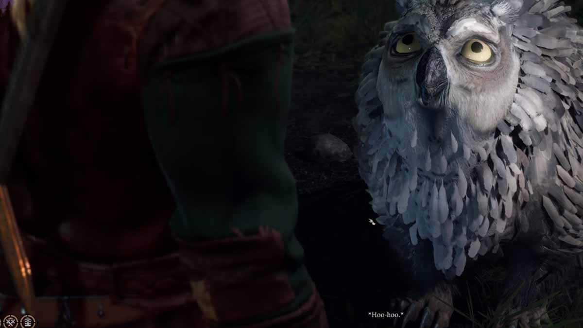 Baldur s gate 3 медвесыч. Baldur's Gate 3 Owlbear. Зевлор. Зевлор Baldur's Gate. Балдурус гейт 3 Сова МЕЛВЕЛЬ летёныш.