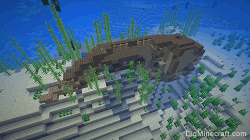 Buried Treasure in Minecraft