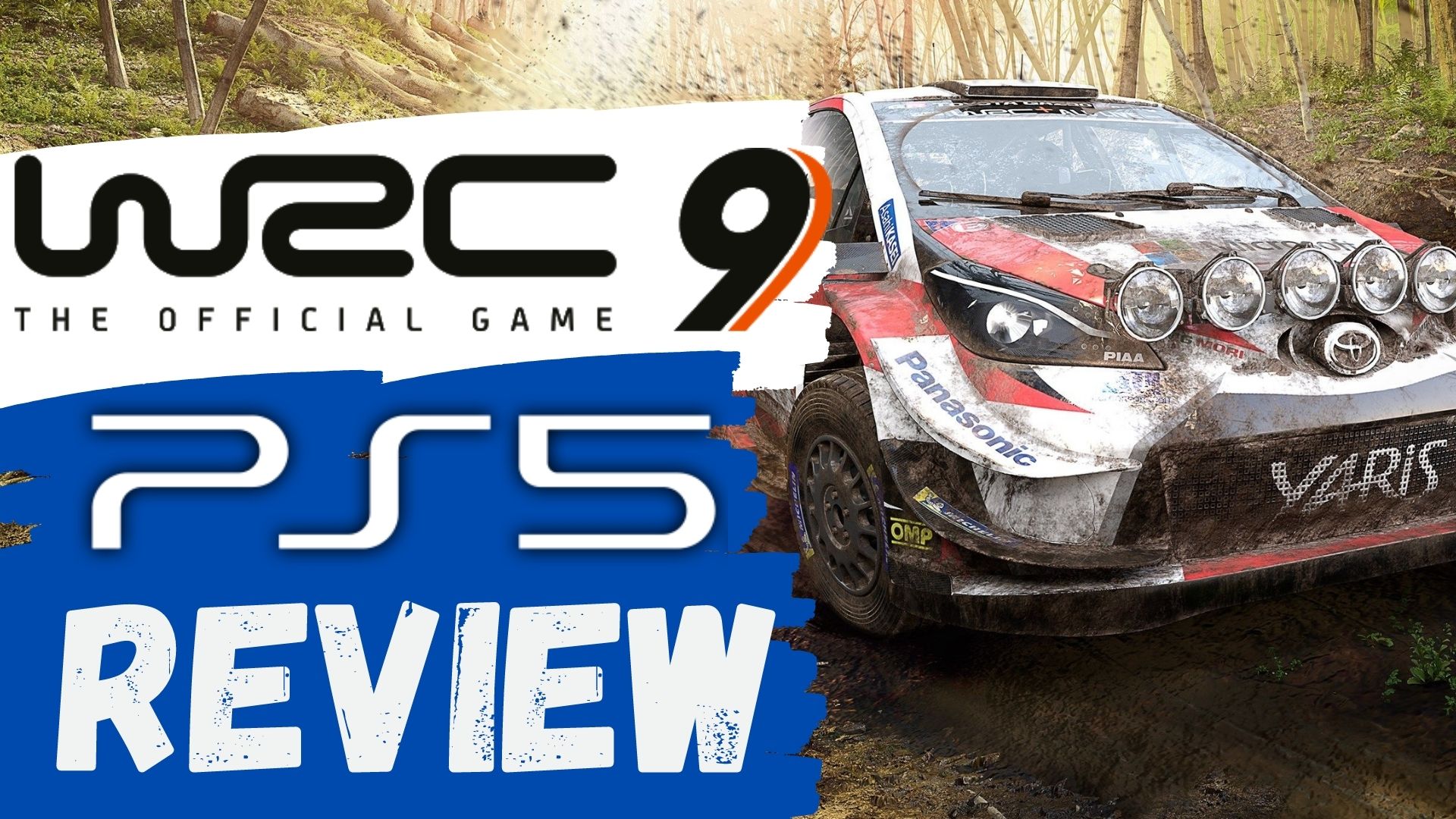 Not a Review: WRC 9 - PS5