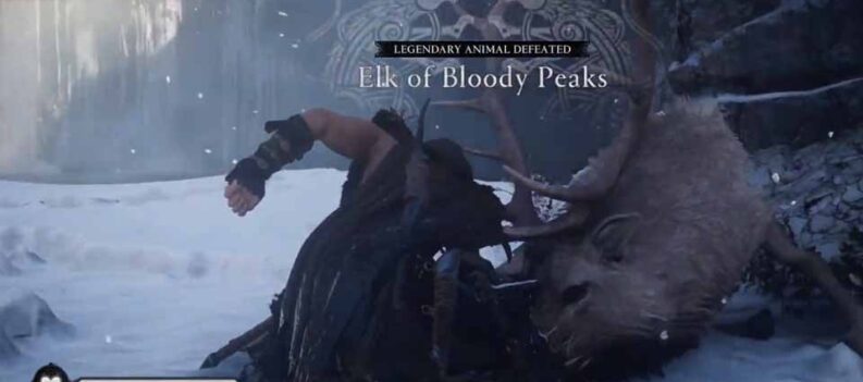 elk of bloody peaks assaisans creed valhala