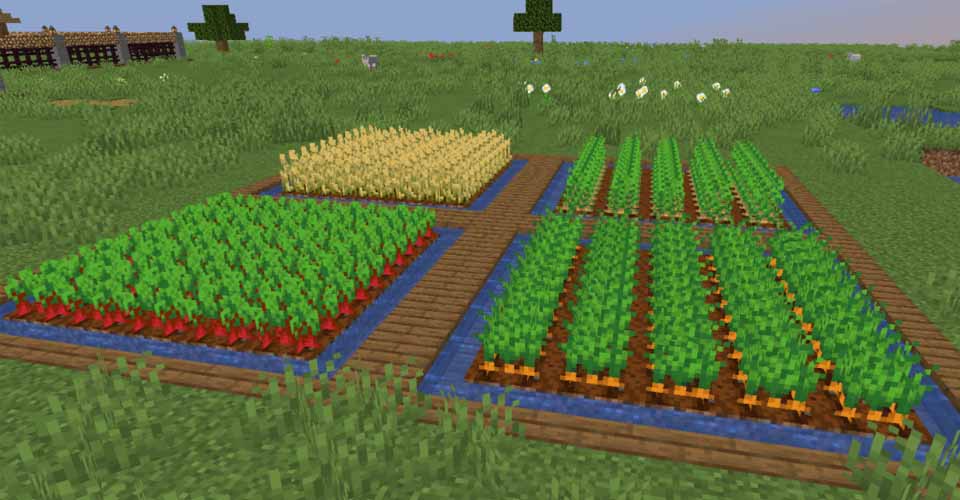 Minecraft: How to Find Get Carrots Versions)