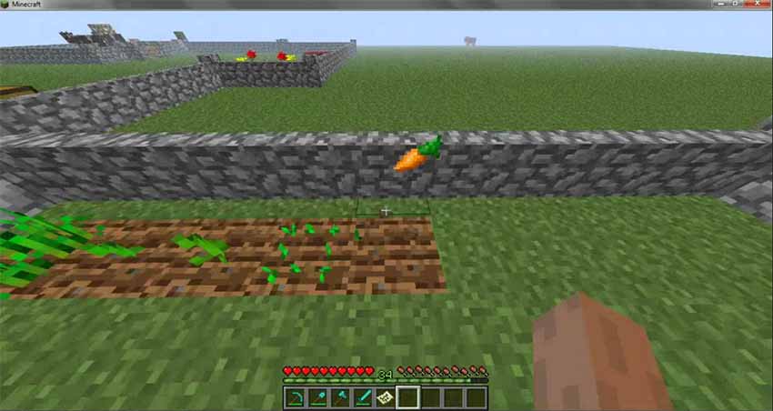 minecraft carrots what to do