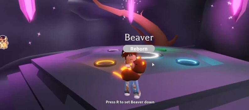 adopt me how much is a beaver worth