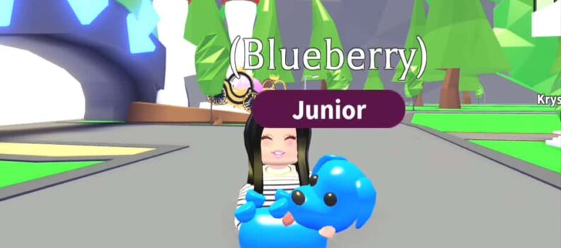 adopt me how much is a blue dog worth