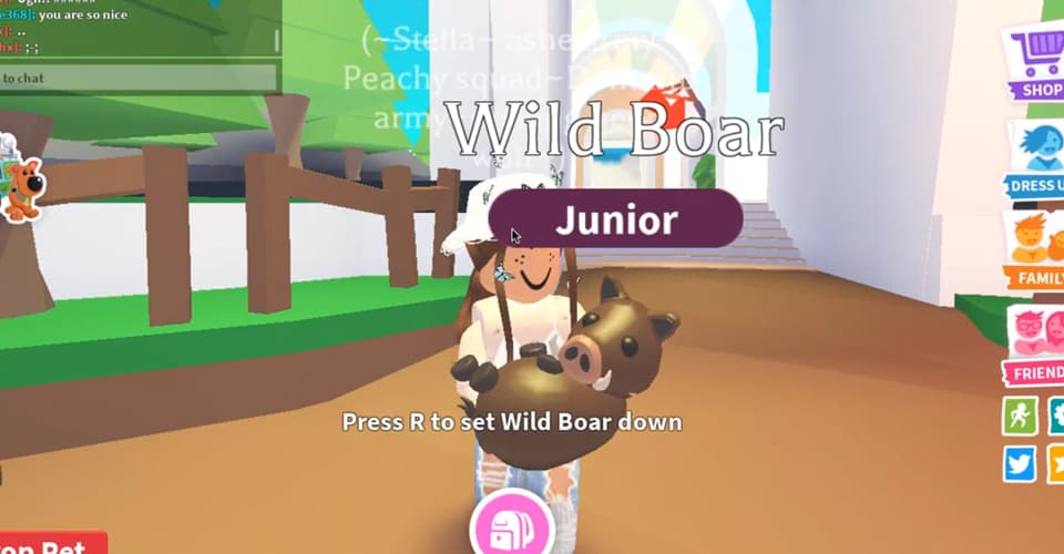 Adopt Me How Much Is A Wild Boar Worth Player Assist Game Guides 