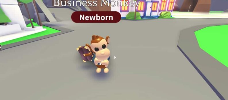 how much is a business monkey worth adopt me