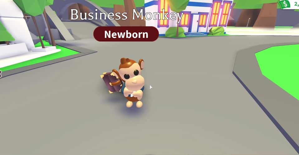 Adopt Me Business Monkey | How Rare is it? - Player Assist | Game