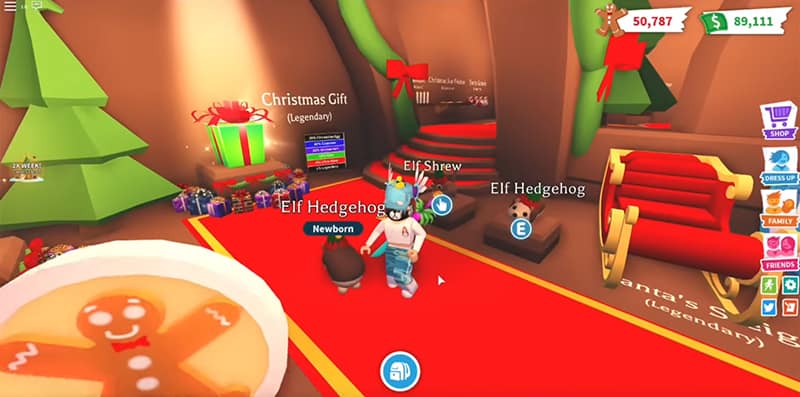 Hedgehog, Trade Roblox Adopt Me Items