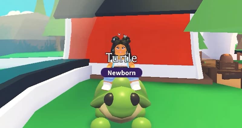 Roblox Adopt Me Trading Values - What is Turtle Worth