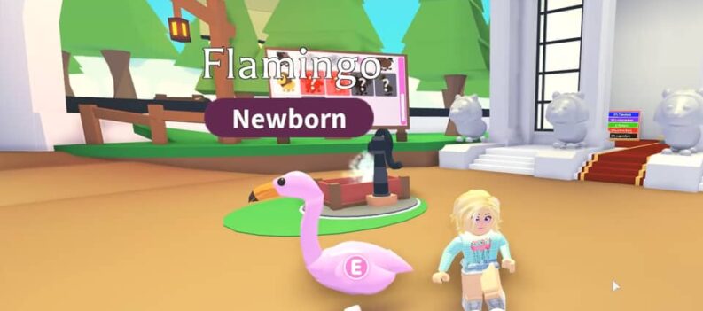 how rare is the flamingo pet adopt me
