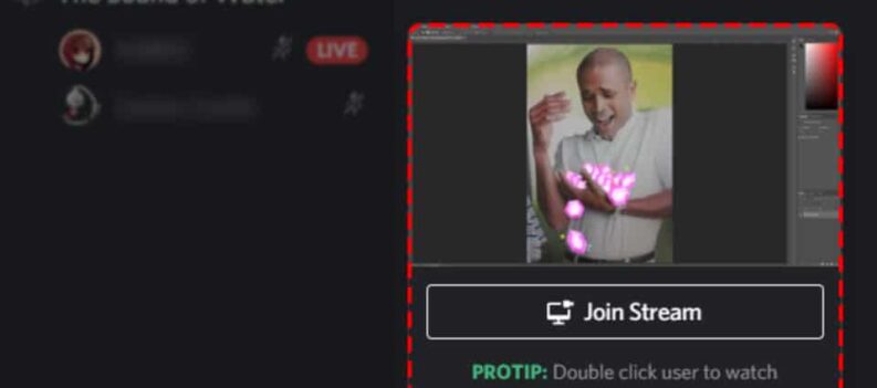 how to hide stream preview discord 2021