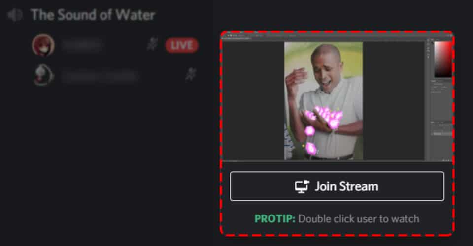 how to hide stream preview discord 2021