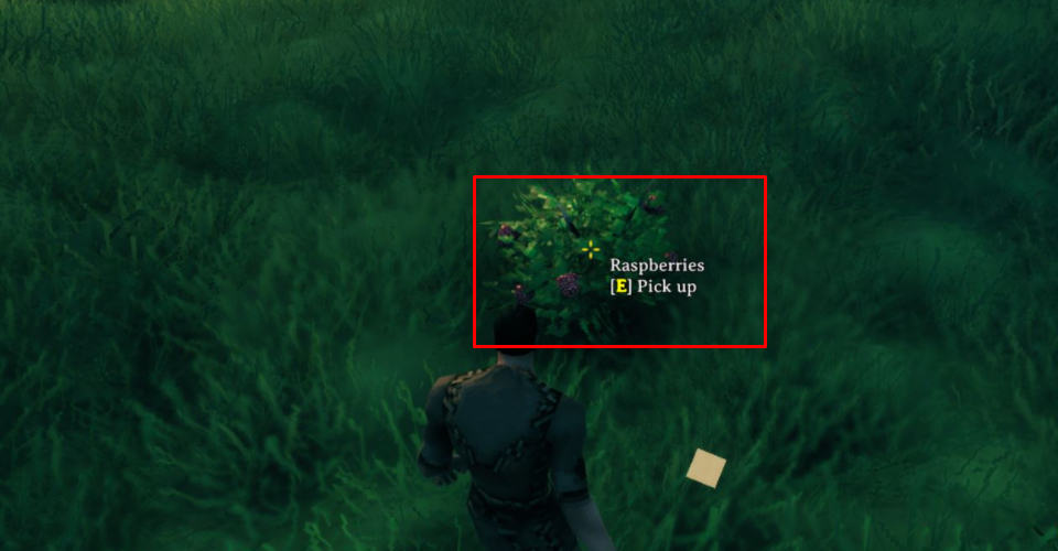 Valheim: Can You Plant Raspberries or Blueberries