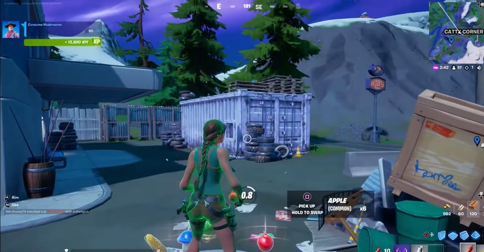 Fortnite: How to Complete Consume Items Secret Quests