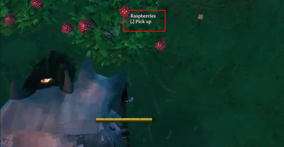 Valheim: How To Spawn A Raspberry And Blueberry Bush