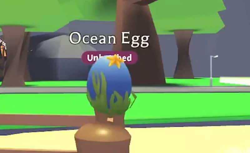 adopt me how much are ocean eggs worth