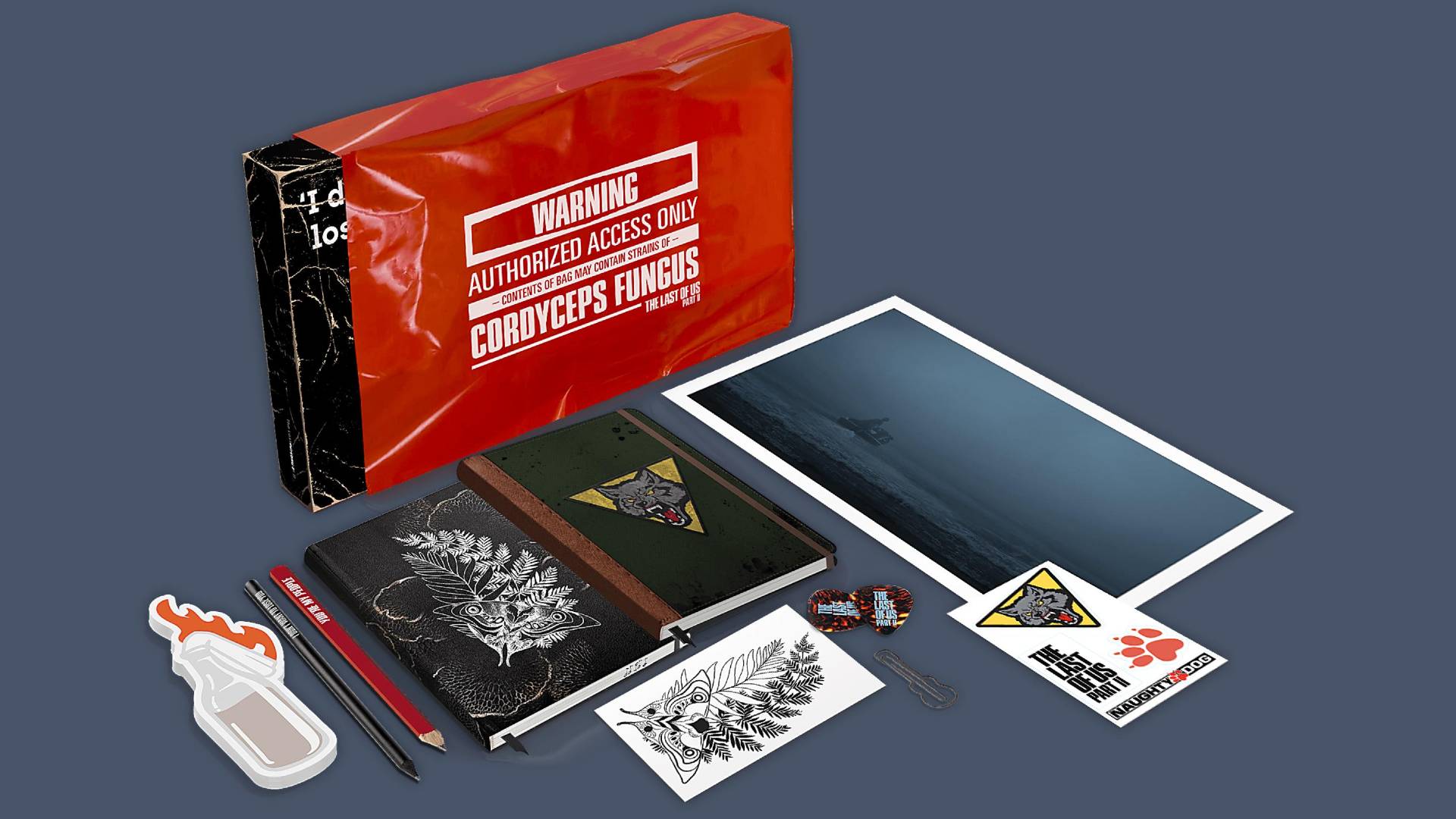 The Last of Us Part 2 is getting a stationery set