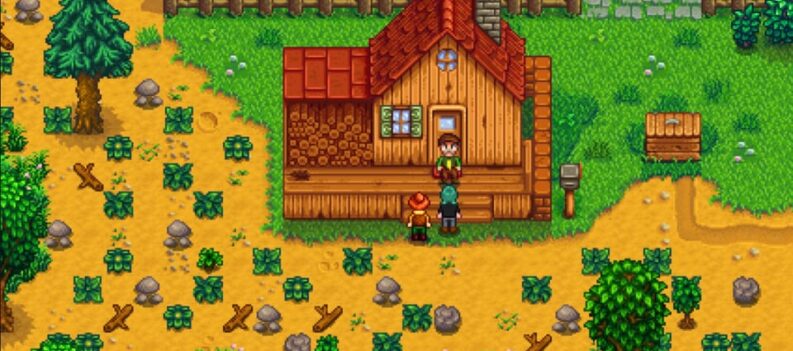 stardew valley how to feed chickens