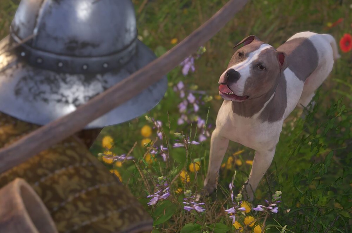 How to Get a Dog in Kingdom Come