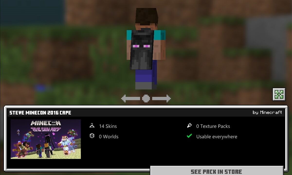 How can i add this to my Minecraft skins or in cape (Bedrock) : r/Minecraft