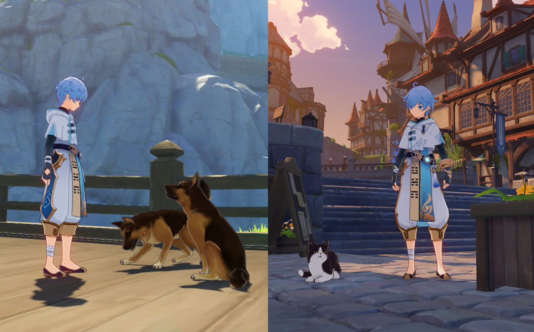 Feeding Animals in Genshin Impact Player Assist Game Guides