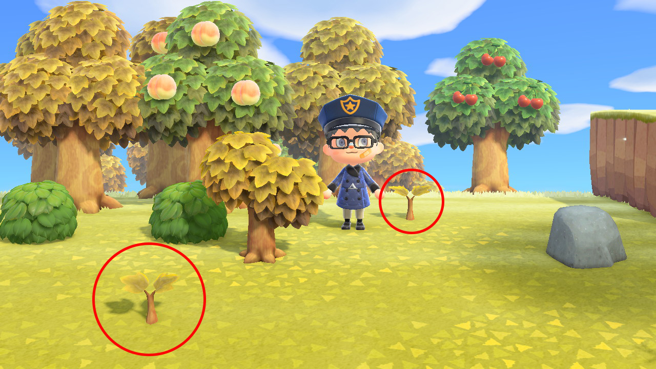 How to Plant Money Trees in Animal Crossing New Horizons Player