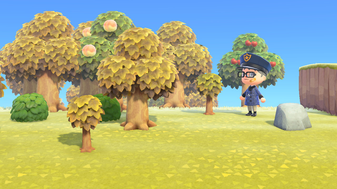 How to Plant Money Trees in Animal Crossing New Horizons Player