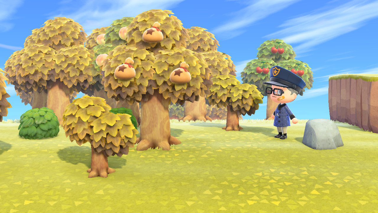 How to Plant Money Trees in Animal Crossing New Horizons - Player ...