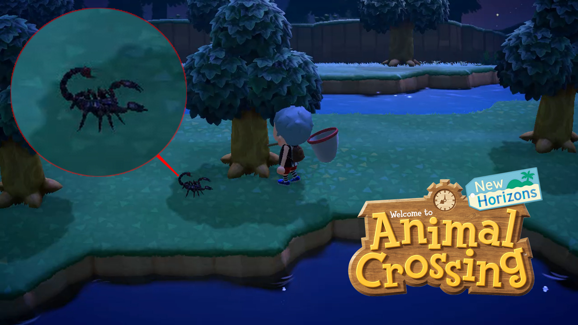 How to Catch Scorpions in Animal Crossing New Horizons