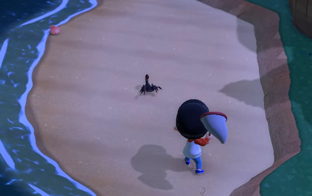 How to Catch Scorpions in Animal Crossing New Horizons Player Assist Game Guides & Walkthroughs