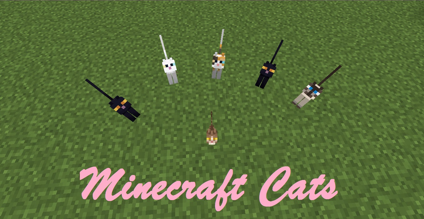 How To Tame A Cat in Minecraft