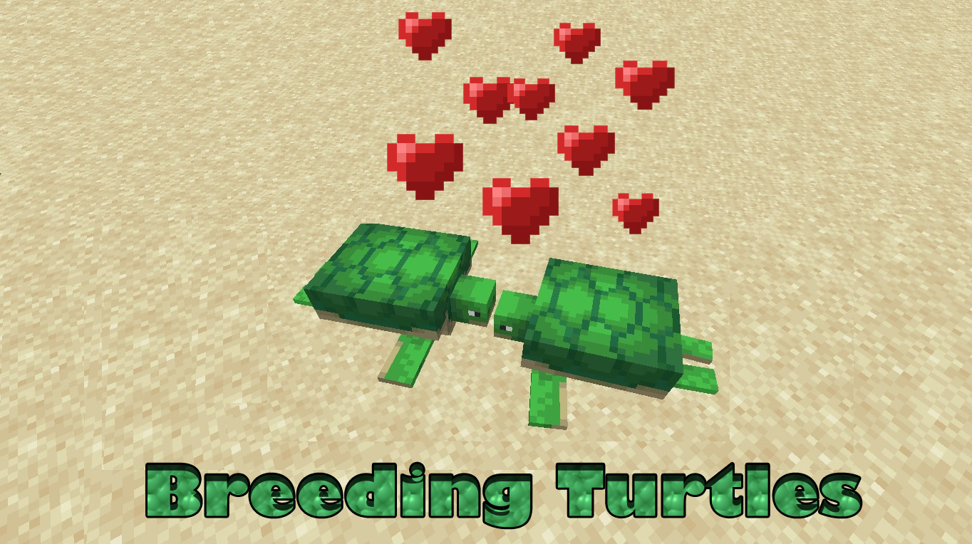 How To Breed Turtles in Minecraft
