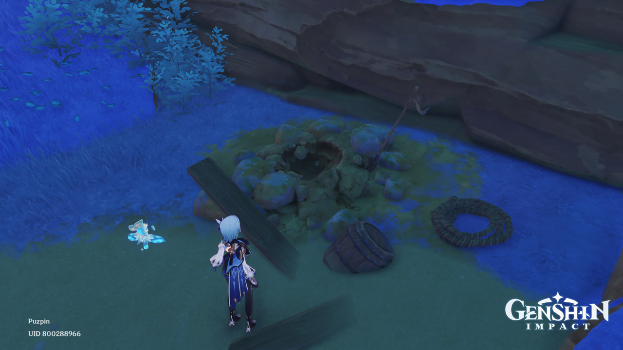 Where to Find Rinzou's Treasures in Watatsumi Island in Genshin Impact