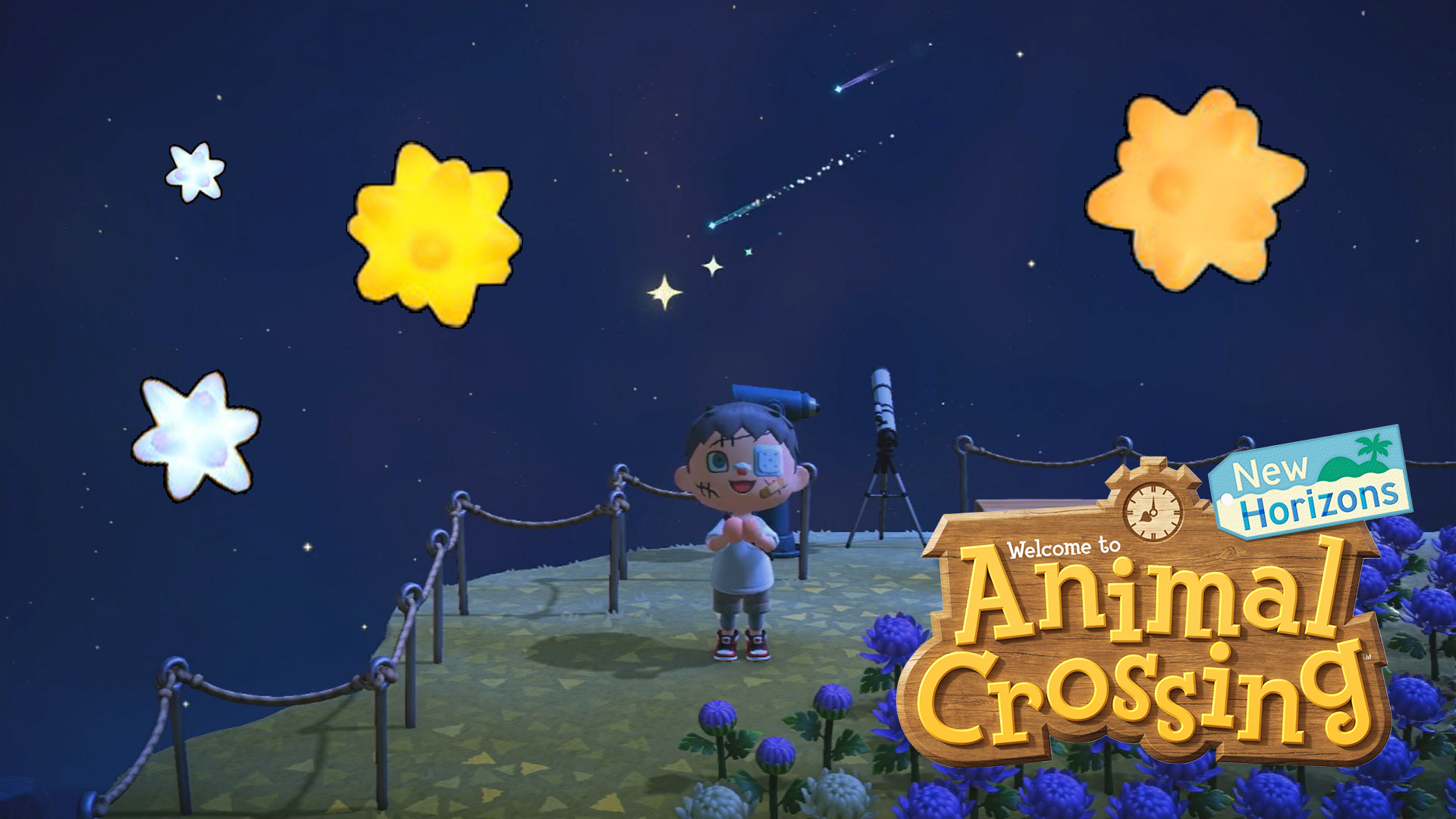 How to Wish on a Star in Animal Crossing New Horizons