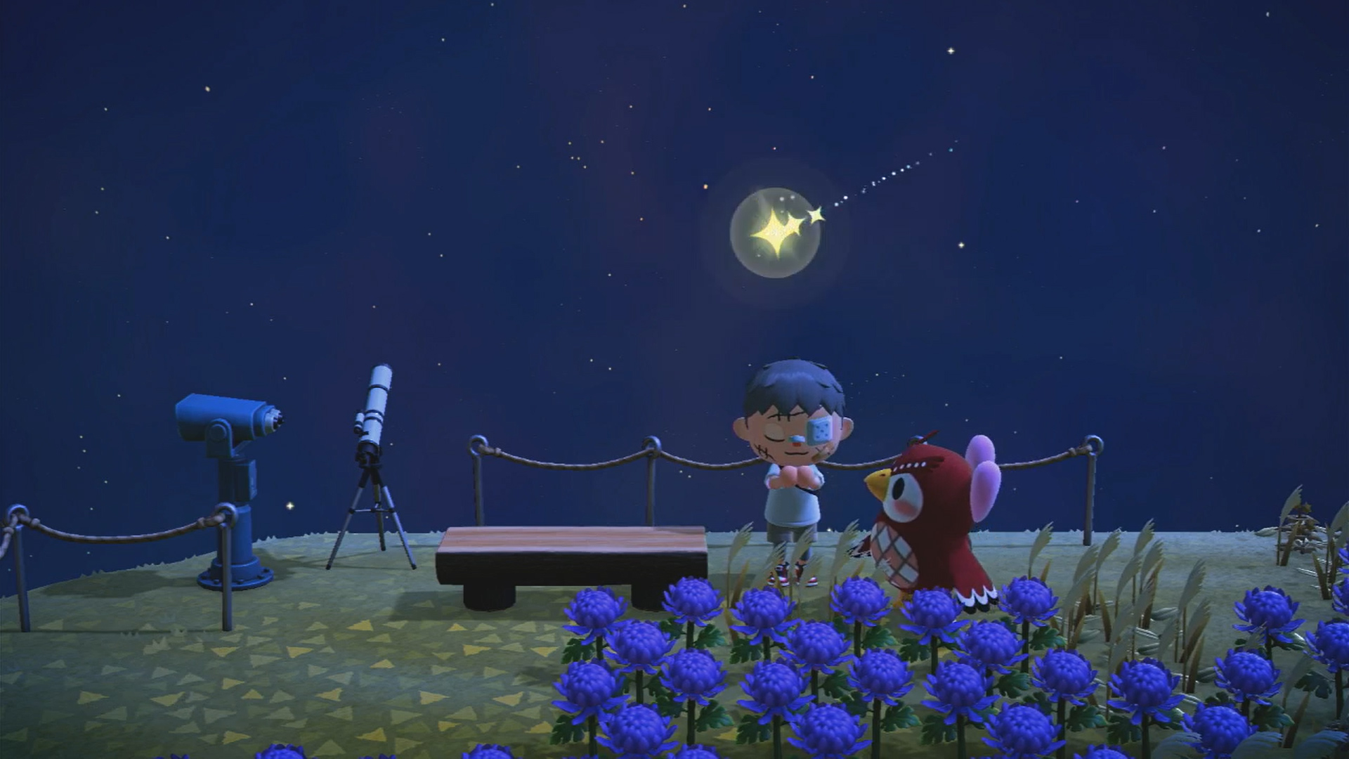 how-to-wish-on-a-star-in-animal-crossing-new-horizons-player-assist