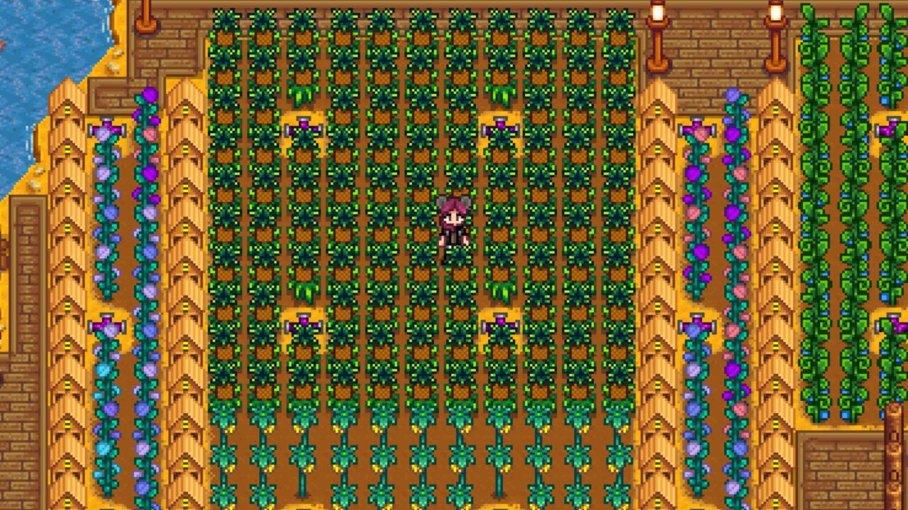 The Complete Island Farm Stardew Valley Guide Player Assist Game