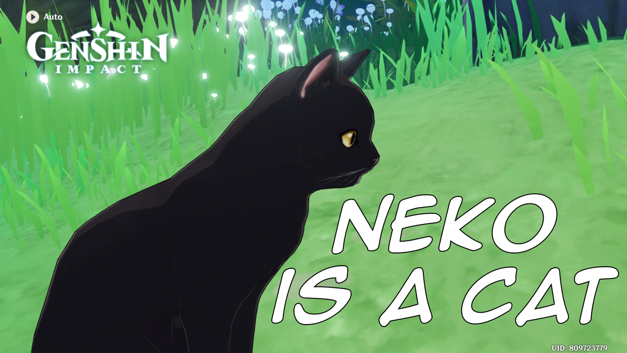 Genshin Impact: Neko Is a Cat Quest Guide