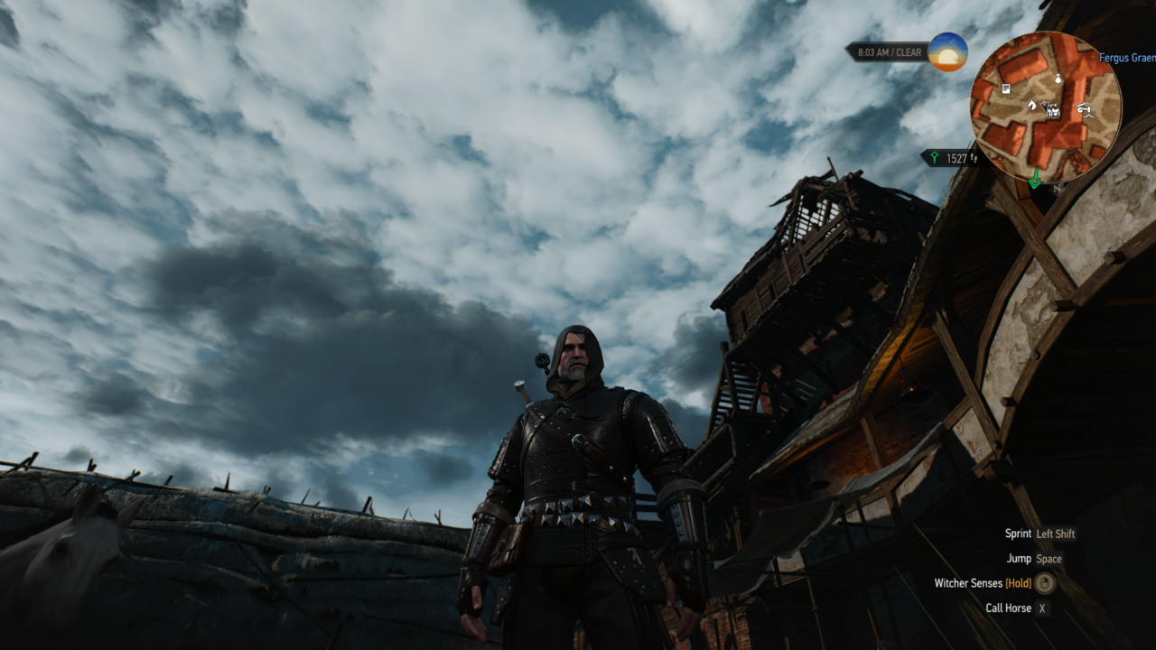 How to Get Superior Feline Witcher Gear in Witcher 3 - Player Assist ...