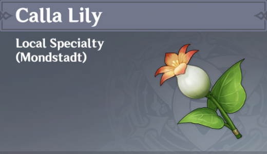 specialty calla lily