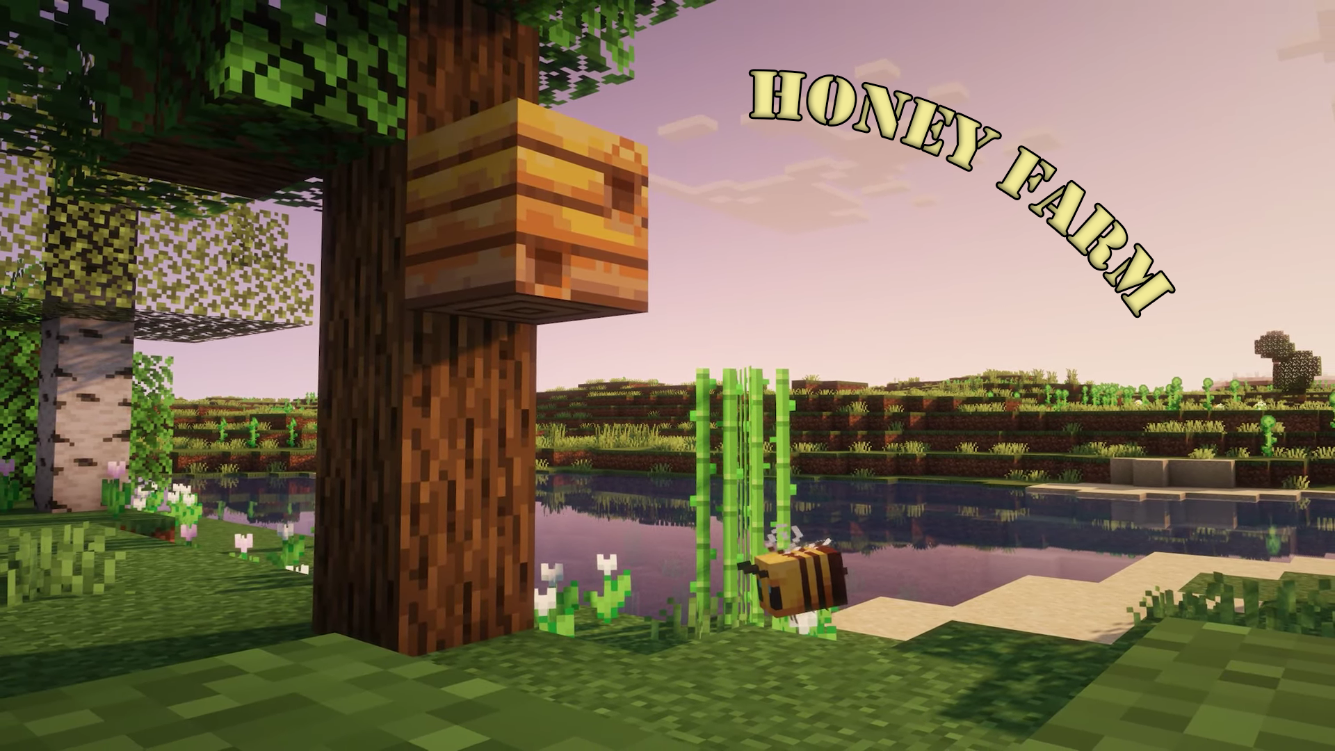 How To Collect Honey in Minecraft 1.19